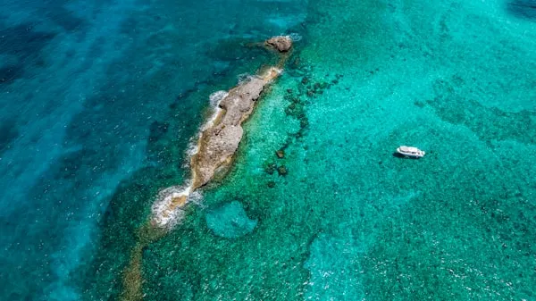 Scuba diver exploring a vibrant coral reef